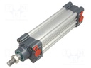 Profile cylinder; Piston diam: 16mm; Piston stroke: 100mm