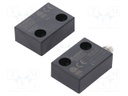 Safety switch: magnetic; Contacts: NO x2; IP67; Electr.connect: M8