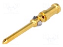 Contact; male; 0.5mm2; 20AWG; Han D HMC,Han DD HMC; gold-plated