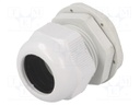 Cable gland; M40; IP65; Mat: polyamide; grey