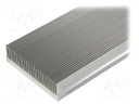 Heatsink: extruded; grilled; natural; L: 1000mm; W: 120mm; H: 34mm