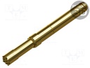 Test needle; Operational spring compression: 3.4mm; 4A,5.5A