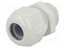 Cable gland; M20; IP68,IP69K; Mat: polyamide; light grey