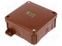 Enclosure: junction box; X: 98mm; Y: 98mm; Z: 46mm; wall mount; IP55