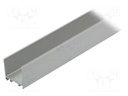 Profiles for LED modules; surface; natural; L: 1m; aluminium