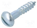 Screw; for wood