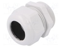 Cable gland; PG29; IP68; Mat: polyamide; light grey; UL94V-0