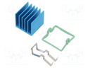 Heatsink: extruded; grilled; blue; L: 19mm; W: 19mm; H: 17.5mm