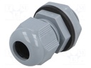 Cable gland; NPT1/2"; IP66,IP68; Mat: polyamide; dark grey; Pcs: 10