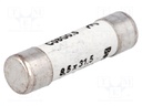 Fuse: fuse; 500mA; 400VAC; ceramic,cylindrical,industrial; 8x31mm