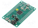 Dev.kit: ARM CORTEX-M4; USB B mini,pin strips; GPIO,SWD,USB