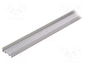 Profiles for LED modules; surface; natural; L: 2m; aluminium