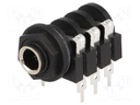 Socket; Jack 6,35mm; female; stereo; with double switch; tinned