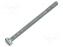 Screw; M2x30; DIN: 84; Head: cheese head; slotted; steel; zinc