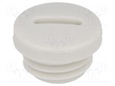 Stopper; M12; IP54; Mat: polyamide; grey; Man.series: V-N-FS