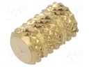 Threaded insert; brass; M3; BN: 37872; L: 6.4mm; HiMOULD®