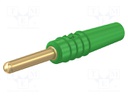 Plug; 2mm banana; 10A; 30VAC; 60VDC; green; gold-plated; Ø: 0.5mm