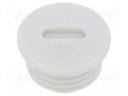 Stopper; PG7; IP56; Mat: polyamide; Body: light grey; Thread: PG; 6mm