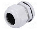 Cable gland; M32; IP68; Mat: polyamide; grey; UL94V-2; 20.3mm