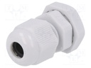 Cable gland; PG7; IP68; Mat: polyamide; grey; Man.series: HSK-KE