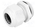 Cable gland; M32; IP68; Mat: polyamide