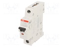 Circuit breaker; 230VAC; Inom: 13A; Poles: 1; DIN; Charact: C; 6kA