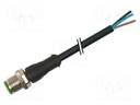 Connection lead; M12; PIN: 3; straight; 5m; plug; 250VAC; 4A; IP67