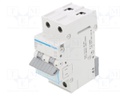 Circuit breaker; 230/400VAC; Inom: 10A; Poles: 2; DIN; Charact: B