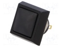 Switch: vandal resistant; Pos: 2; SPST-NO; 2A/36VDC; IP65; OFF-(ON)