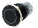 Switch: vandal resistant; Pos: 2; SPDT; 0.5A/220VAC; 1A/24VDC; IP67