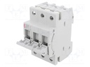 Fuse disconnector; D01; Mounting: for DIN rail mounting; 10A