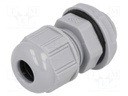 Cable gland; PG9; IP68; Mat: polyamide; dark grey; UL94V-2