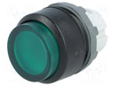 Switch: push-button; Stabl.pos: 2; 22mm; green; Illumin: MLB-1; IP66