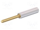 Adapter; 2mm banana; white; gold-plated; 36.5mm; Mounting: plug-in