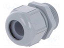 Cable gland; M25; IP68,IP69K; Mat: polyamide; dark grey