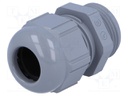 Cable gland; PG13,5; IP68; Mat: polyamide; grey; UL94V-2