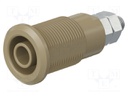 Socket; 4mm banana; 32A; brown; nickel plated; Overall len: 33mm