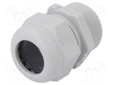 Cable gland; with metric thread,with long thread; M32; IP68