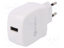 Charger: USB; Usup: 100÷240VAC; Out: USB; 31x52x96mm; Plug: EU; 3A