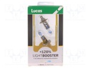 Filament lamp: automotive; P14,5s; white; 12V; 55W; XENON +120%; H1