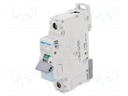 Circuit breaker; 230/400VAC; Inom: 1A; Poles: 1; DIN; Charact: C