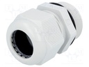 Cable gland; with long thread; M32; IP68; Mat: polyamide