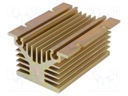 Heatsink: extruded; Y; golden; L: 100mm; W: 80mm; H: 50mm; aluminium