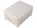 Enclosure: junction box; X: 116mm; Y: 150mm; Z: 67mm; polypropylene