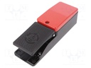 Switch: foot; Stabl.pos: 1; Leads: screw terminals; IP65; -30÷80°C