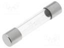 Fuse: fuse; time-lag; 100mA; 250VAC; cylindrical,glass; 6,3x32mm