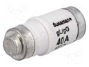 Fuse: fuse; 40A; 400VAC; 250VDC; ceramic,industrial; D02