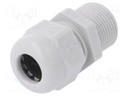 Cable gland; with thread PG,with long thread; PG13,5; IP68