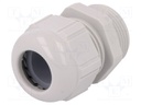 Cable gland; PG21; IP68; Mat: polyamide; light grey