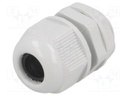 Cable gland; PG11; IP65; Mat: polyamide; grey